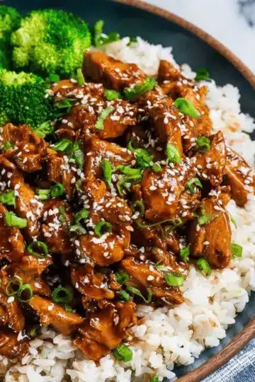 Slow Cooker Honey Garlic Chicken
