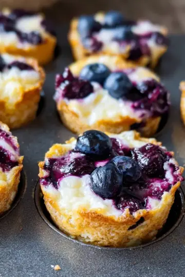 Blueberry Cottage Cheese Bites